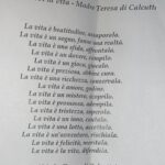 WhatsApp Image 2023-11-12 at 11.07.10